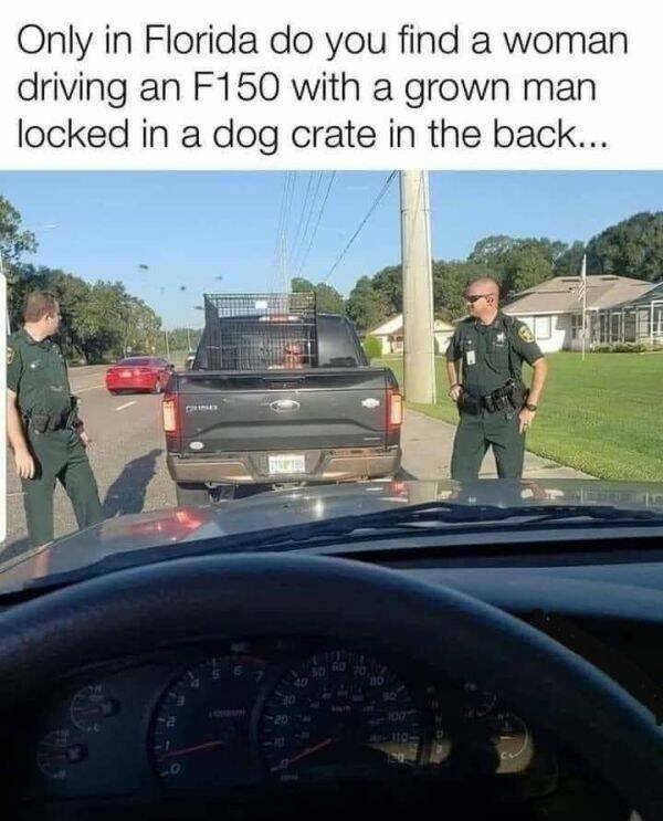 Funny Memes (25 pics)