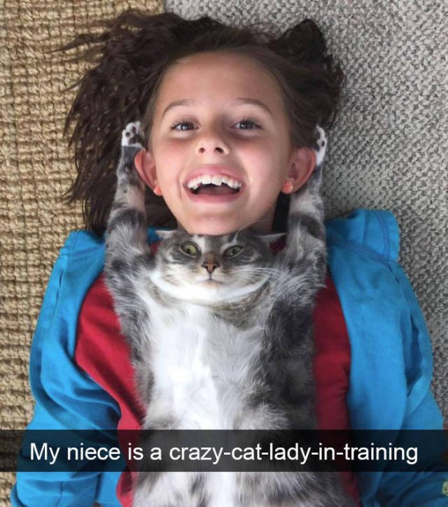 Jokes For Cats Lovers (50 pics)
