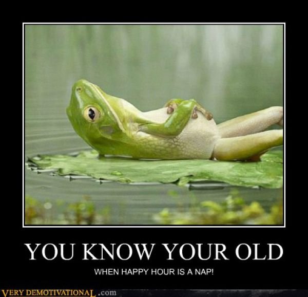 Funny Demotivators (15 pics)