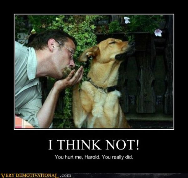 Funny Demotivators (15 pics)
