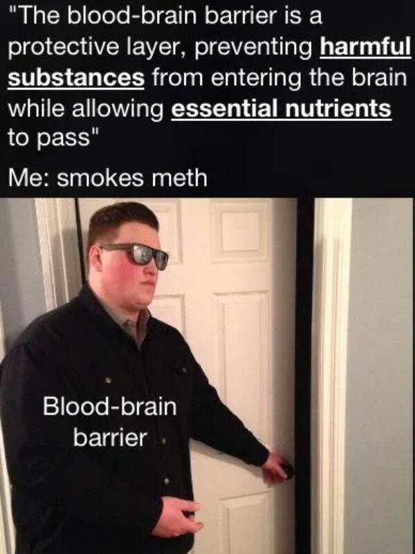 Random Memes (18 pics)