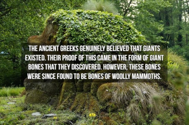 Historical Facts (15 pics)
