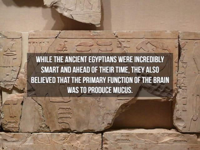 Historical Facts (15 pics)