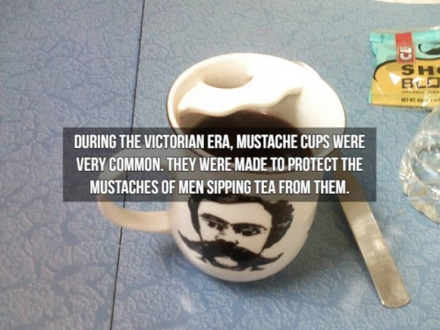 Historical Facts (15 pics)