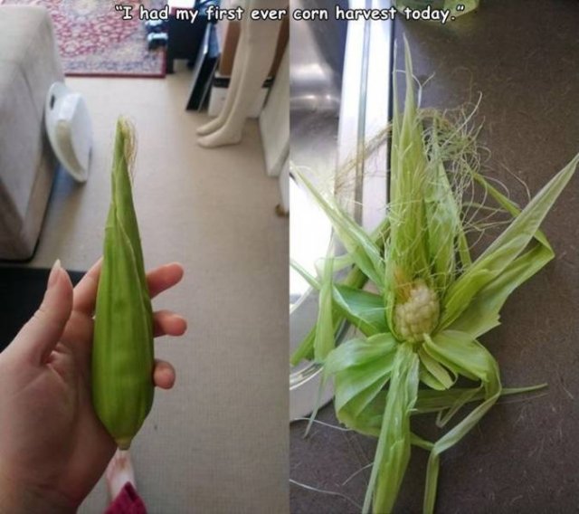 Bad Days Happen (48 pics)