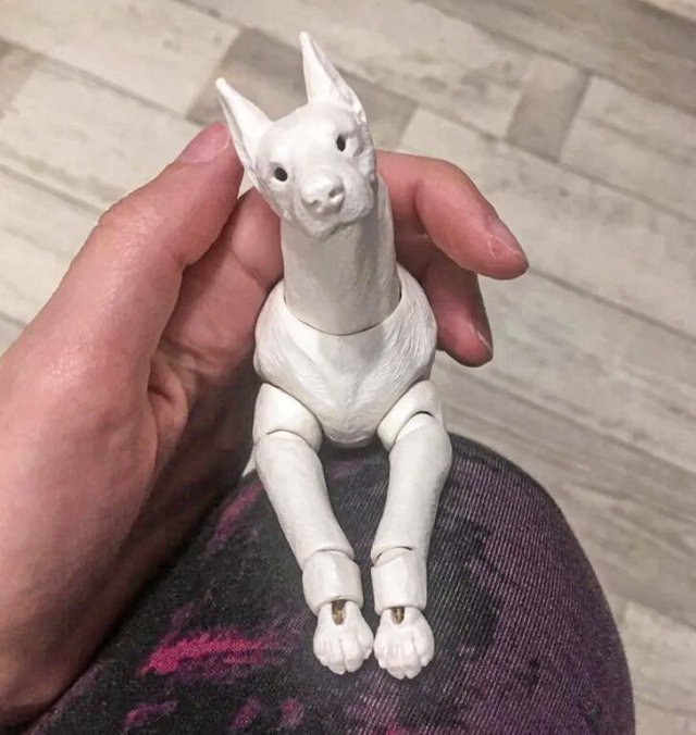 Interesting Finds (20 pics)