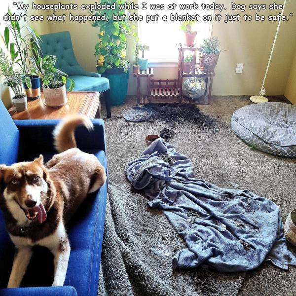 Bad Days Happen (48 pics)