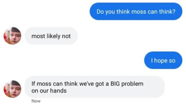 Funny Messages (20 pics)