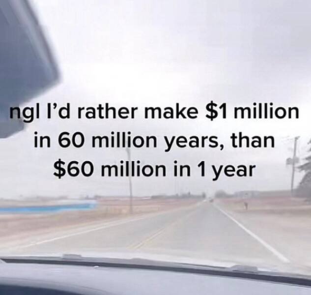 Not Very Smart People (14 pics)