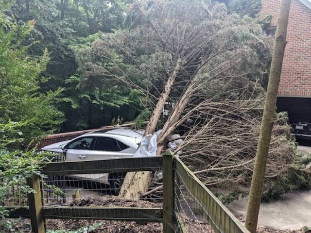 Terrible Drivers (27 pics) Terrible Drivers (27 pics)