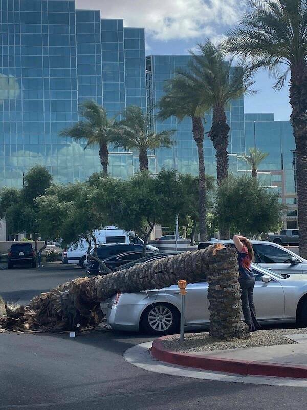 Terrible Drivers (27 pics) Terrible Drivers (27 pics)