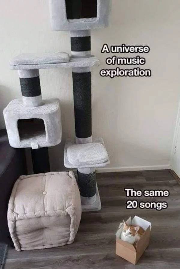 Truthful Memes (54 pics)