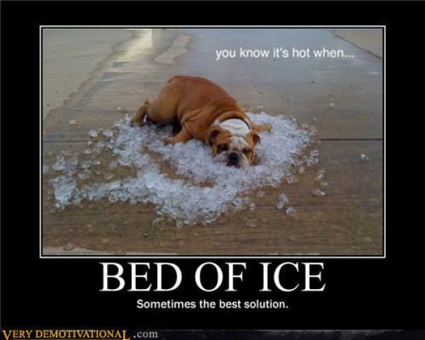 Funny Demotivators (14 pics)