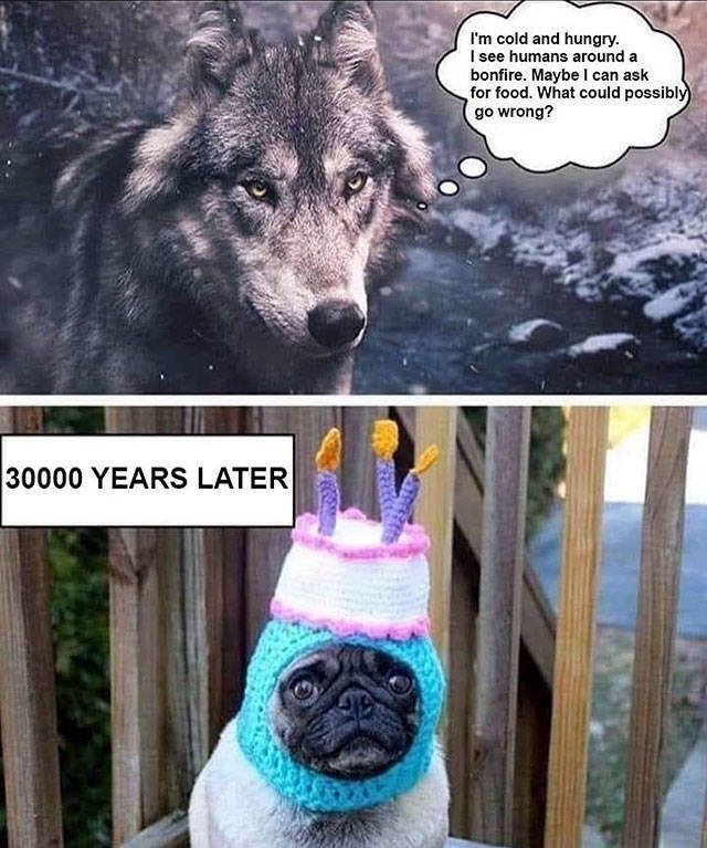 Truthful Memes (54 pics)