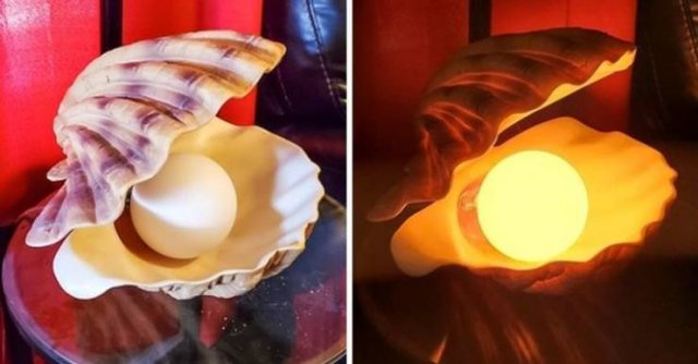 Unusual Finds In Thrift Shops (20 pics)