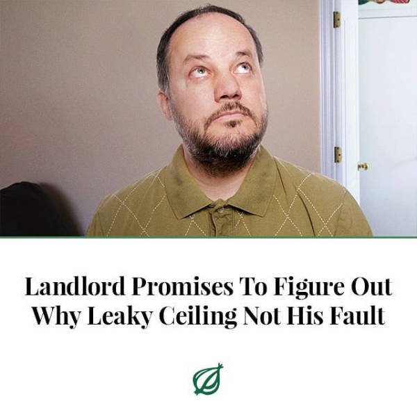 Truthful Memes (54 pics)
