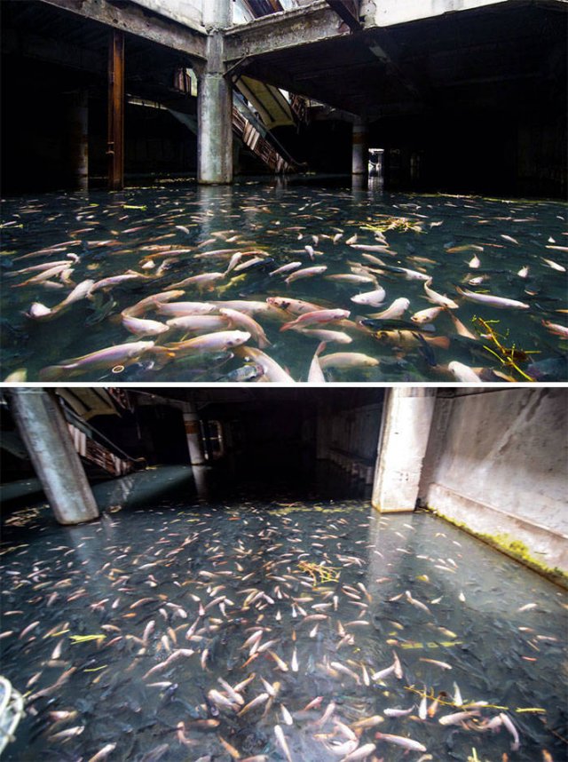 Atmospheric Abandoned Places (39 pics)