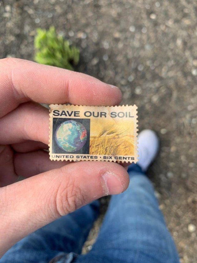Interesting Finds In Old Houses (16 pics)