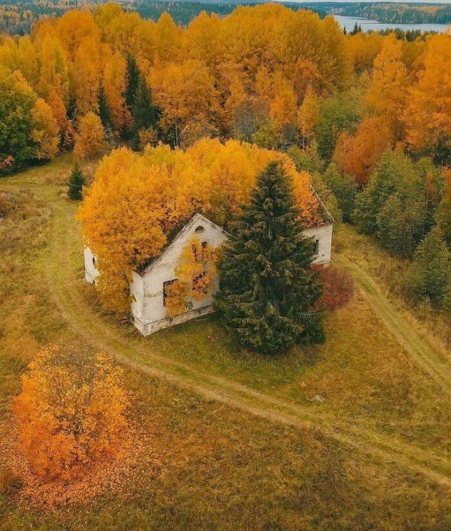 Atmospheric Abandoned Places (39 pics)