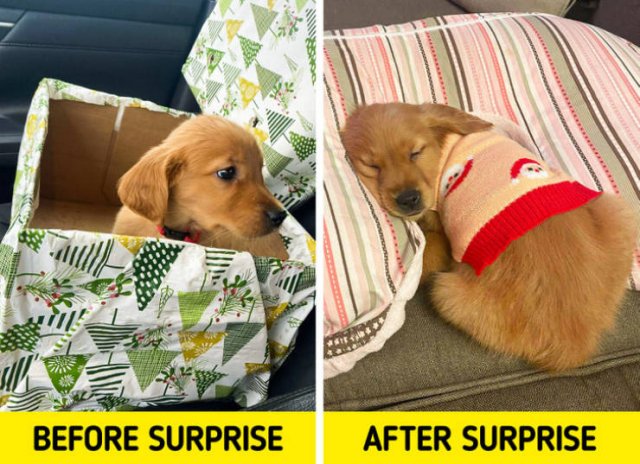 Pleasant Surprises (16 pics)