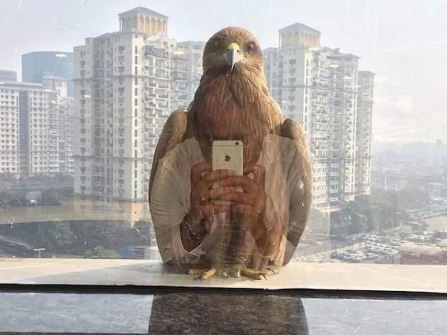 Right Moment (43 pics) Right Moment (43 pics)