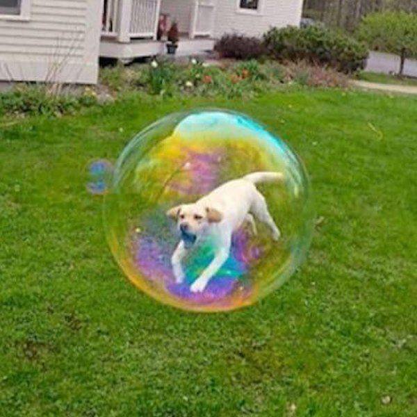 Right Moment (43 pics) Right Moment (43 pics)