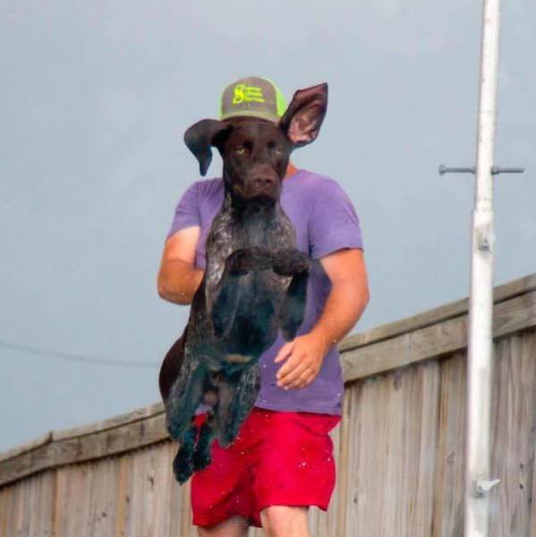 Right Moment (43 pics) Right Moment (43 pics)