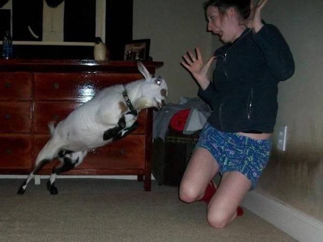 Right Moment (43 pics) Right Moment (43 pics)