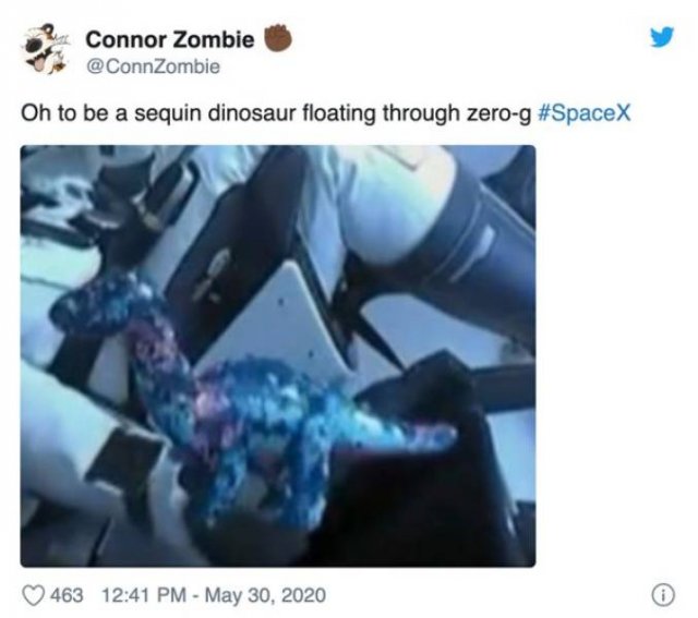 What Have People Sent Into Space? (13 pics)