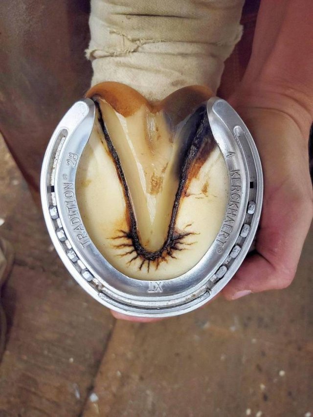 It's Perfect (42 pics)