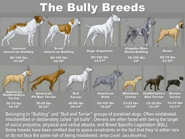 Interesting Data (23 pics)