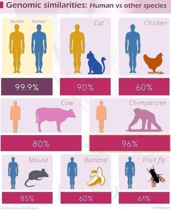 Interesting Data (23 pics)