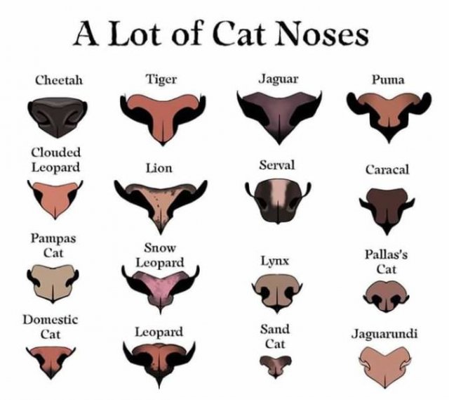 Interesting Data (23 pics)