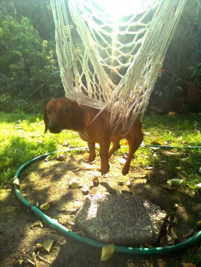 Bad Days Happen (48 pics)