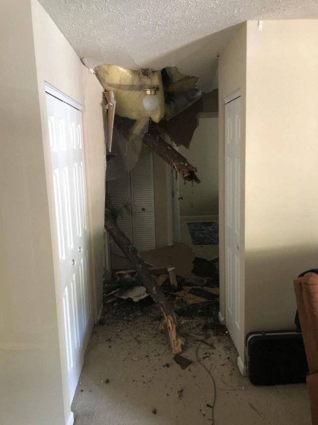 Bad Days Happen (48 pics)