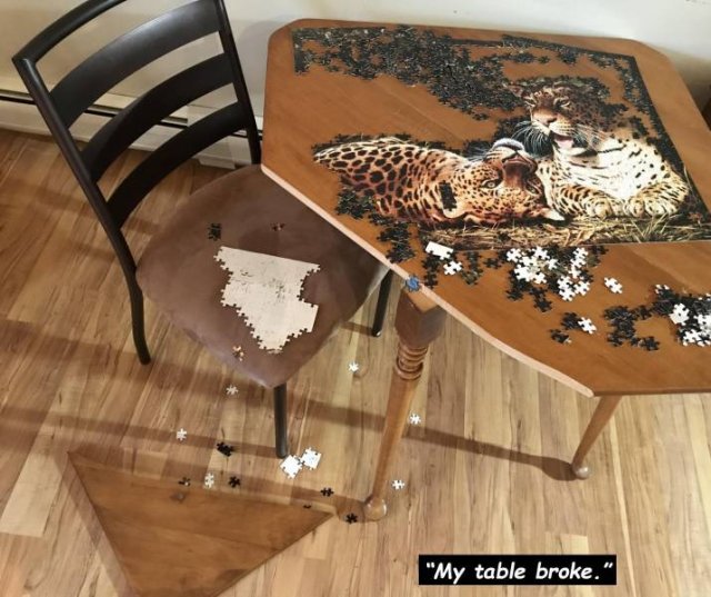 Bad Days Happen (48 pics)