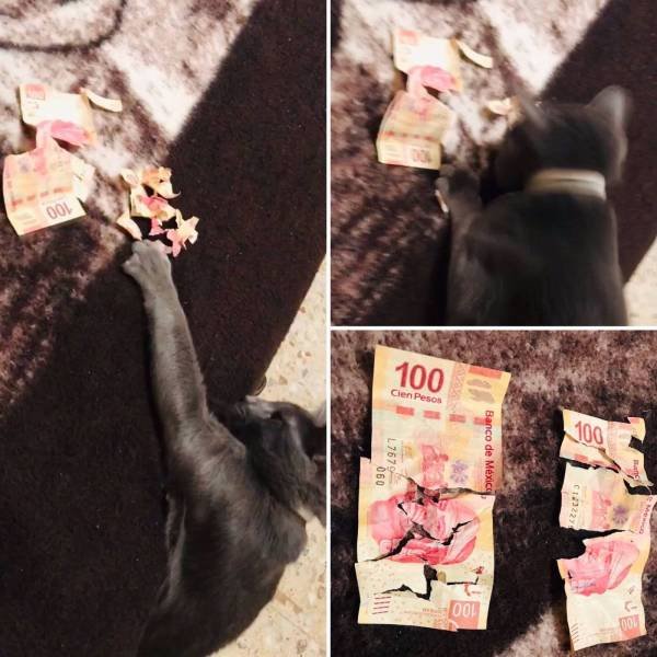 Bad Days Happen (48 pics)
