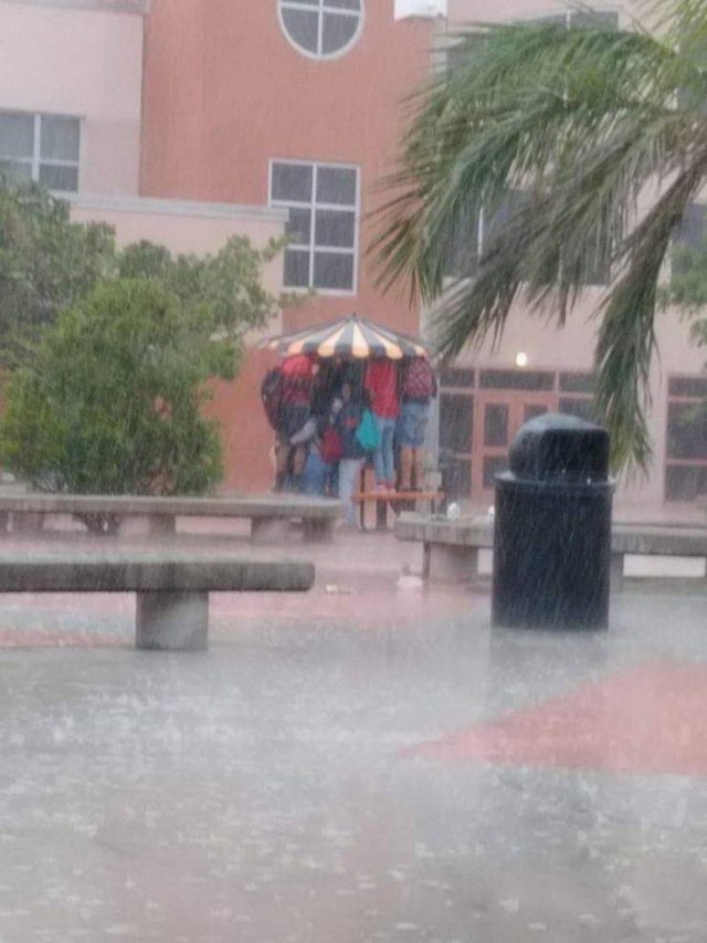 Bad Days Happen (48 pics)