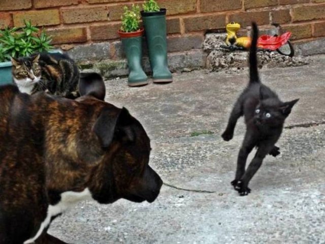 Bad Days Happen (48 pics)