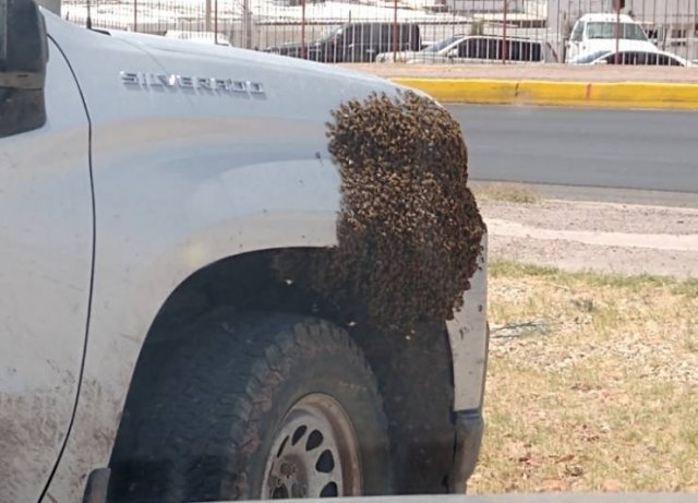 Bad Days Happen (48 pics)