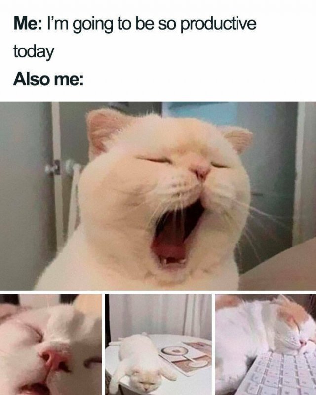 Memes About Mental Health (24 pics)