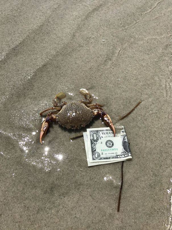 Funny And Strange Situations On The Beaches (34 pics)