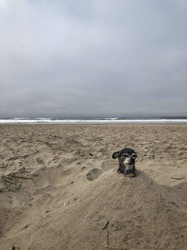 Funny And Strange Situations On The Beaches (34 pics)
