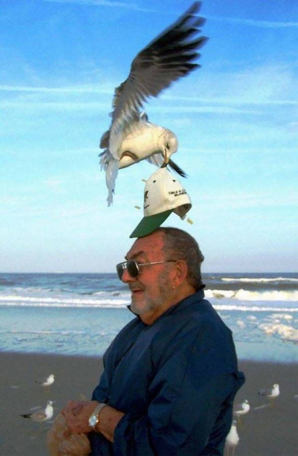 Funny And Strange Situations On The Beaches (34 pics)