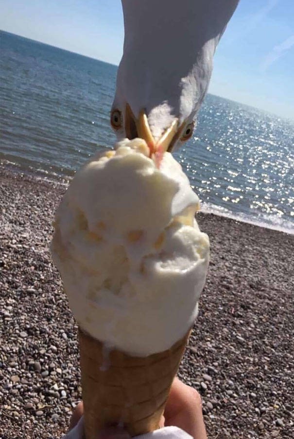 Funny And Strange Situations On The Beaches (34 pics)