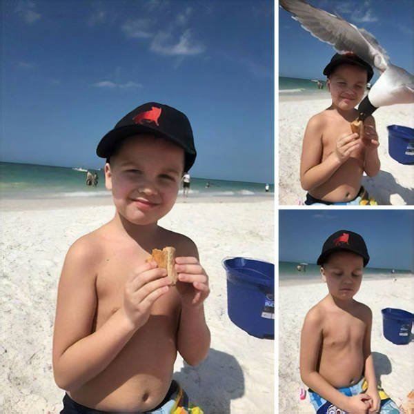 Funny And Strange Situations On The Beaches (34 pics)