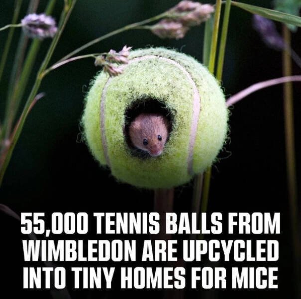 Kind Jokes And Stories (32 pics)
