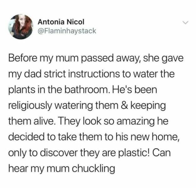 Random Memes (21 pics)