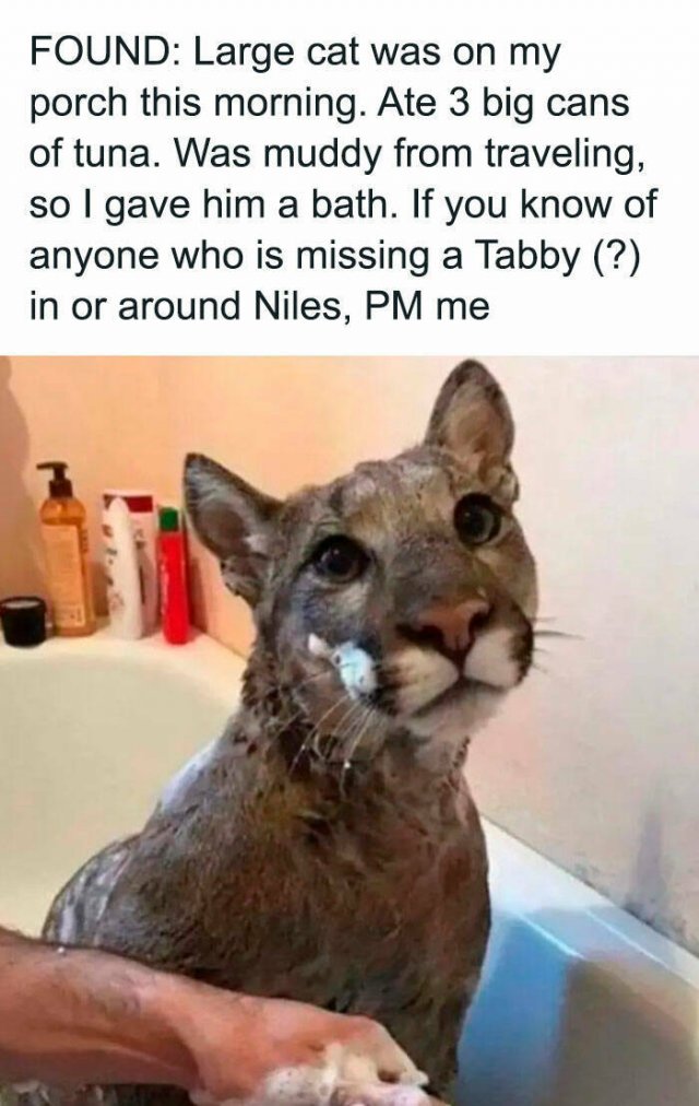 Random Memes (21 pics)