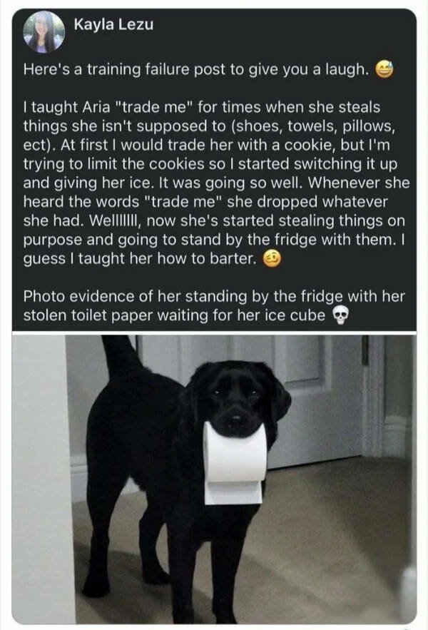 Kind Jokes And Stories (32 pics)
